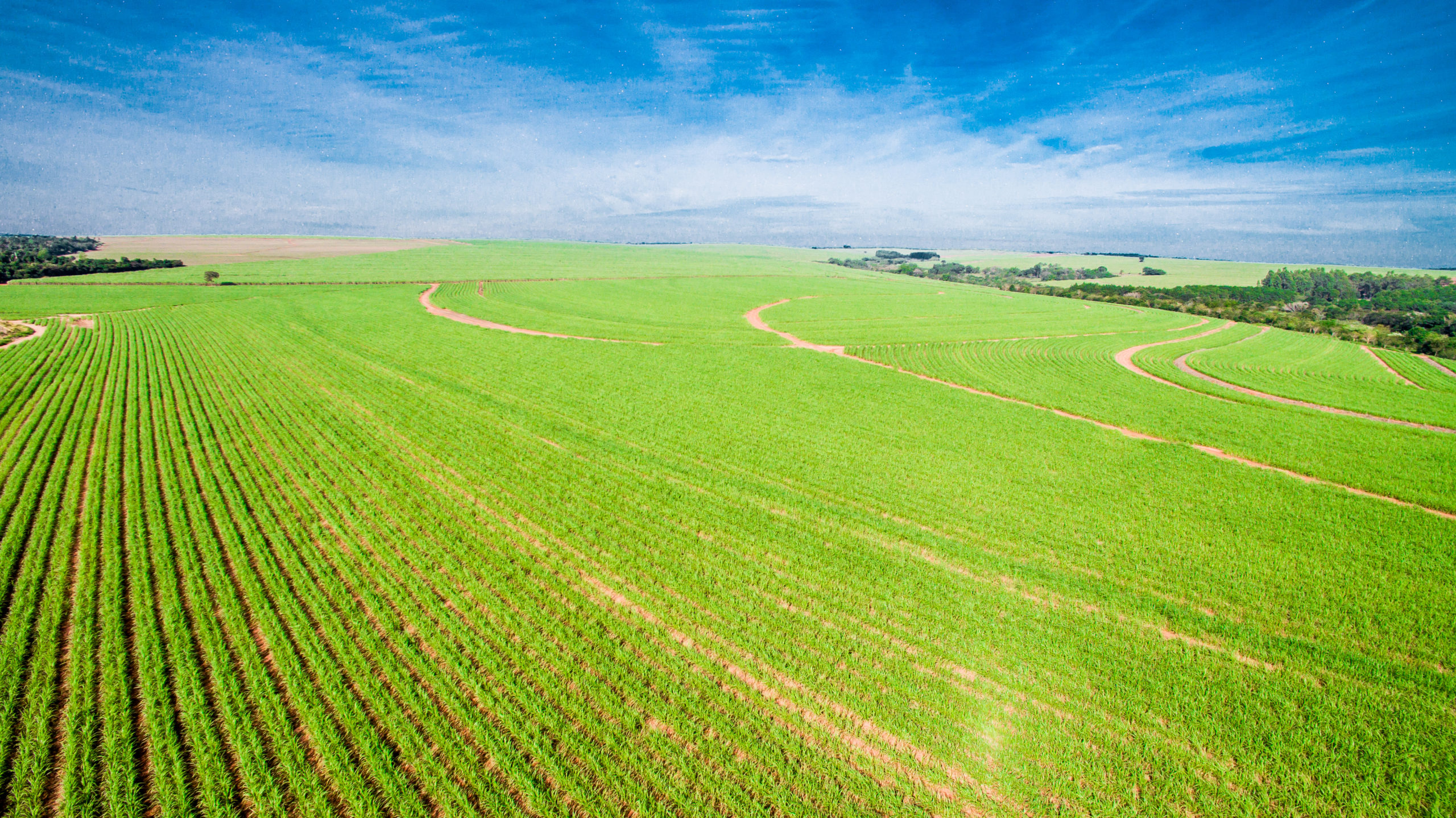 Vista aérea de unidade agroindustrial da Zilor
